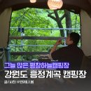 강원도 평창 흥정계곡 캠핑장 추천 그늘 많은 평창하늘캠핑장 물2번데크 명당 후기