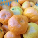 항균농장 이미지