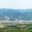 태암농장 Daum카페