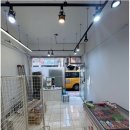 팬시덕쿠