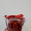 우주라이크예산