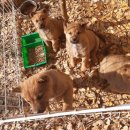 북면 종합복지회관 이미지