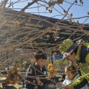 봉오초병설유치원 이미지