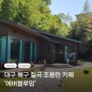 [대구 북구] 구암동 조용한 카페 &#39;에버블루밍&#39;