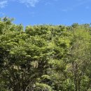 봉제산책쉼터 | [2025년 9월] 이벤트 폭발 9월의 일상