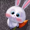 여주안과의원 이미지