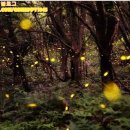 청수승마체험장 이미지