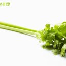 송이과일야채 이미지