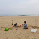 제비호식당 이미지