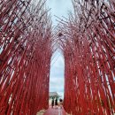 영월Y파크(술샘박물관) 이미지