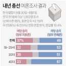 내년총선 여론조사 결과 이미지