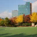 서강상사 이미지