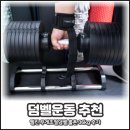롤트 | 덤벨운동 추천 멜킨 무게조절덤벨 롤튼 36kg 후기