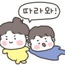 아이엠꼬마김밥 이미지