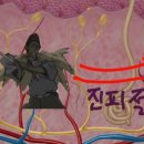 서피부과의원 이미지