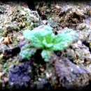 연동농장 이미지