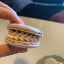 세빠프레소 이미지