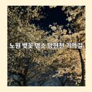 당현천길 | 노원 벚꽃 명소 당현천 기억길