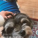 복래