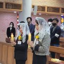 김종금 Daum카페