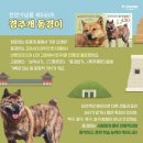 우표이야기 이미지