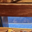 브레드창 이미지