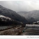 산천초목민박 이미지