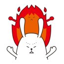 노블동물병원 이미지