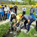 율곡천 1 뉴스1