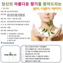 뷰티테라피연구소 Daum카페