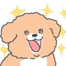 내고향마트 이미지