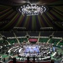 C.M. 복싱 이미지