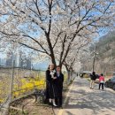 자라목공원 이미지