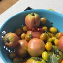 대해스파랜드 헬스 이미지