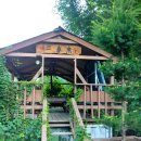 숲속의맑은향기