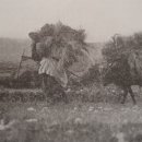 양촌목장 이미지