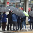 우산종로약국 이미지