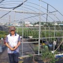 시온농장 이미지