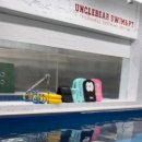 엉클베어스윔앤피티 이미지