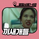 열혈사제 시즌2 줄거리 [이이제이] 7회 8화 : 개그 욕망 한 스푼만 덜어내자