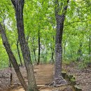 봉제산 무궁화공원 이미지