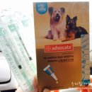 영등포 길약국 이미지