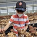 도신농장 이미지