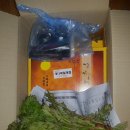 산나물 자연산 개다래즙 개다래열매 산나물모듬 나물 배송사진 이미지