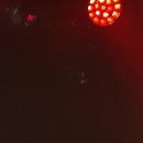 강허달림 20주년 콘서트 이미지