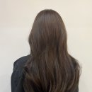 대치역미용실 에코쟈뎅 대치테라스점 시세이도크리닉 손상모 탈출 대치동미용실 유진 디자이너 후기