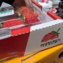 하나로마트 의성중부농협본점 | 상품) 의성청년딸기_난 최근에 3년동안먹은딸기중에 제일 맛있었던것 같애.. 딸기1등 드릴게여