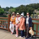 영등포여자고등학교 이미지