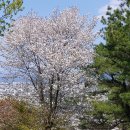 경춘로120번길 이미지