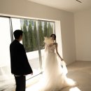 고즈헤어 이미지